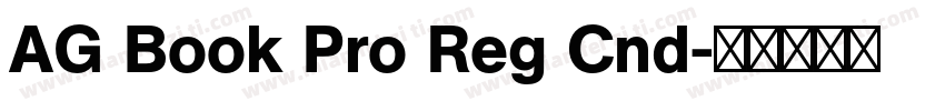 AG Book Pro Reg Cnd字体转换